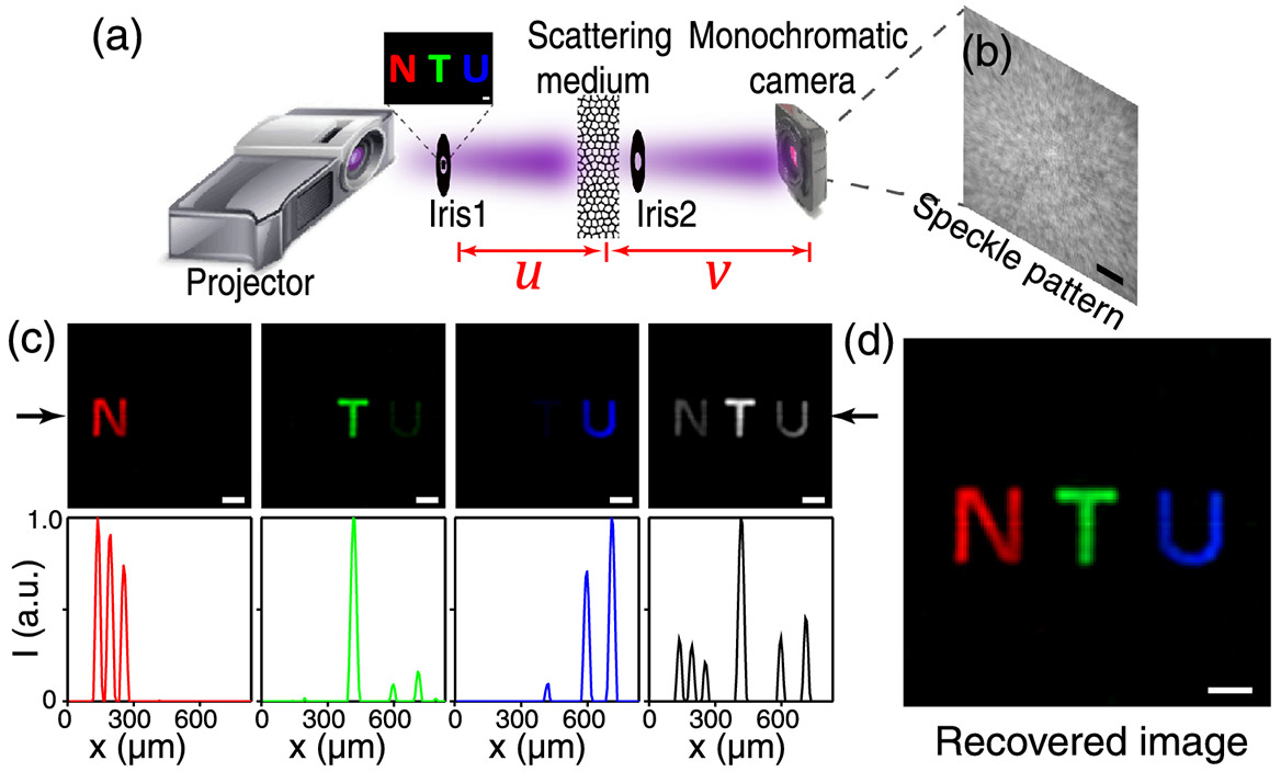 Single-shot multispectral imaging with strongly scattering media