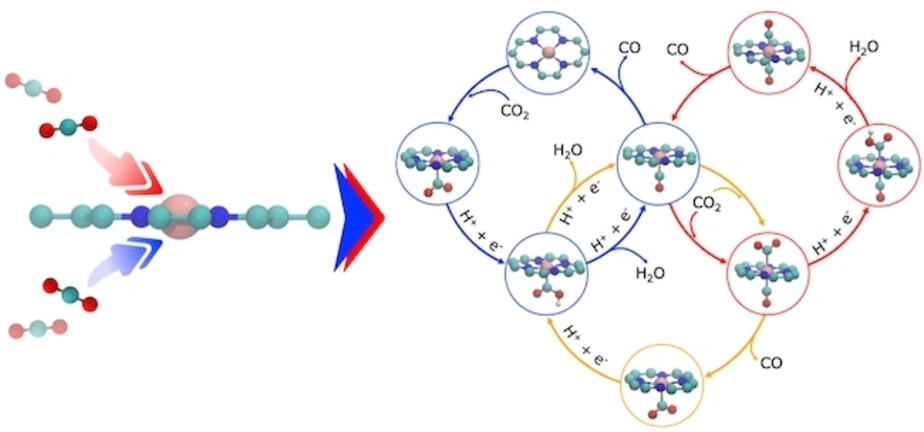 Reaction network for dynamic active-site adaptation during CO₂ electroreduction on a single-atom catalyst