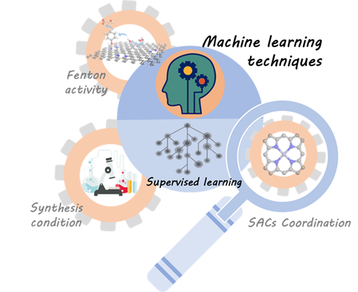 Machine-learning workflow for optimising single-atom catalyst coordination and Fenton activity