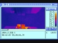 P455C116T3#yIS1