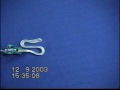 P673C229T3#yIS1