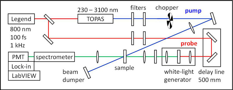 Schematic of the Transient Absorption Spectroscopy set up