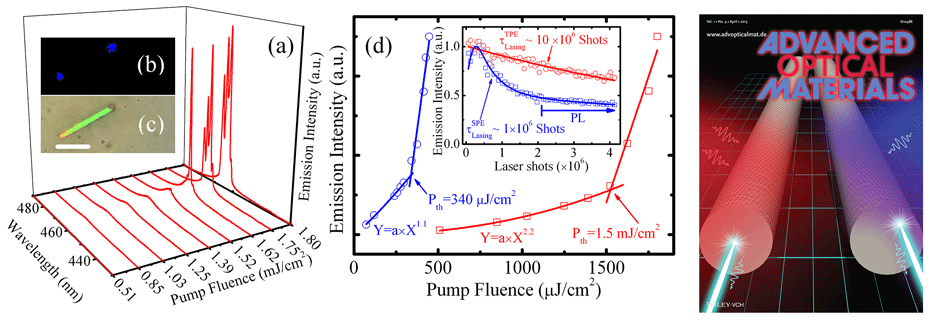 Ultrafast Exciton Dynamics and Two-Photon Pumped Lasing from ZnSe Nanowires